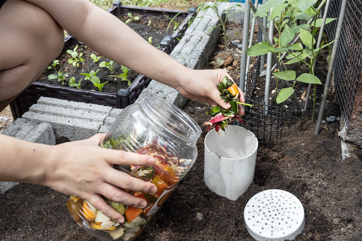 Techniques pour enrichir votre compost