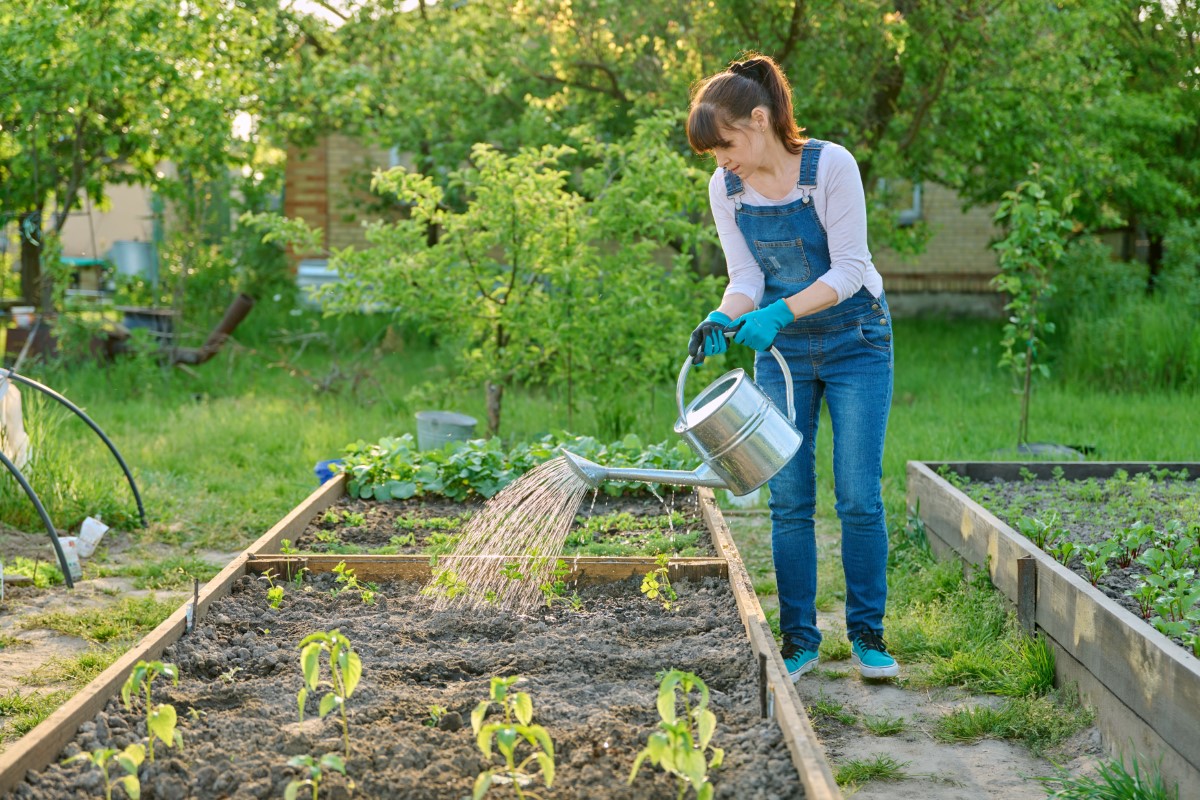 arroseur de jardin potager