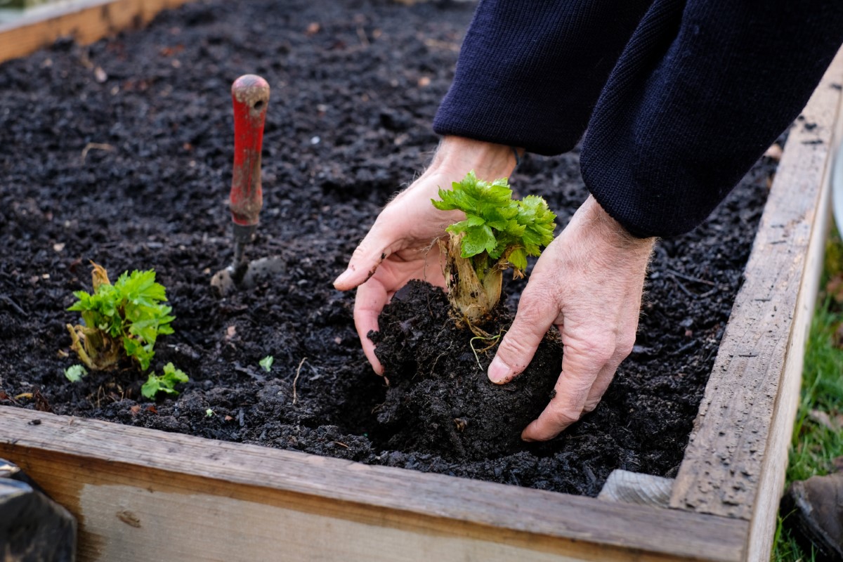 lit de jardin potager