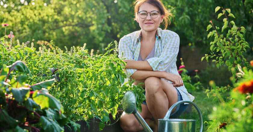 3 clés pour créer un jardin respectueux de la nature