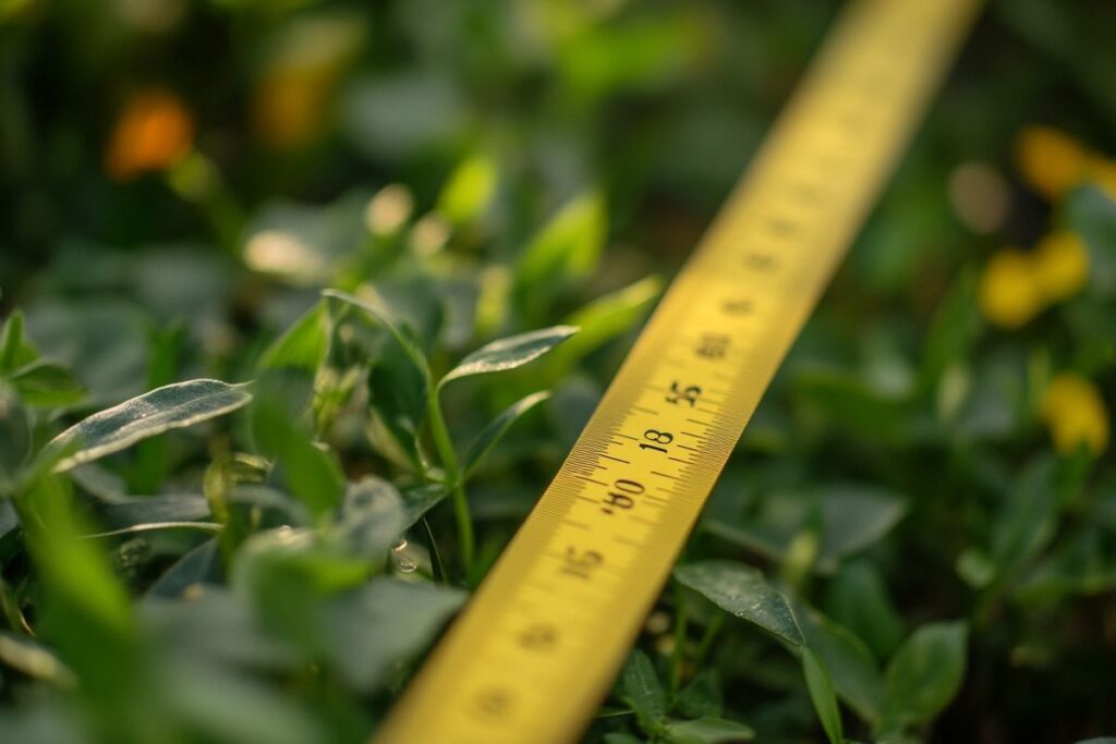 Découvrez si l'on peut mettre 2 abris de jardin de 5m2 dans votre jardin